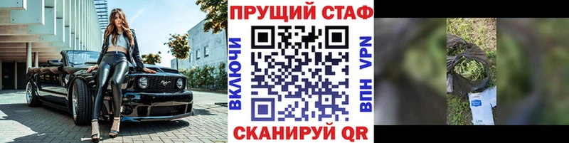 Магазины продажи наркотиков Сосновый Бор Канабис  Кокаин  Гашиш  Меф мяу мяу 