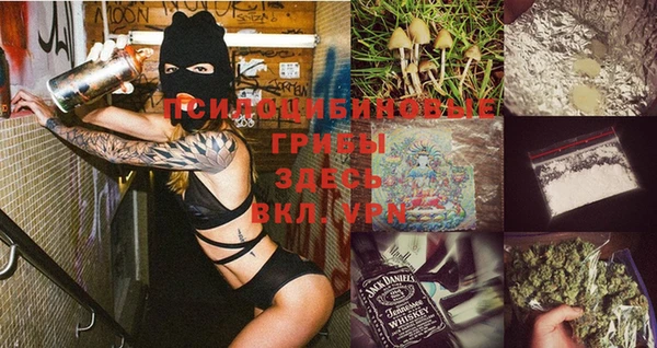 прущая мука Каменка