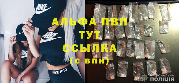 СК Инсар