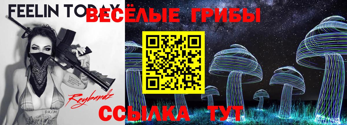 Сосновый Бор  Галлюциногенные грибы ЛСД  Вход с VPN 