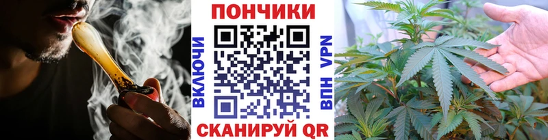 где можно купить наркотик  Сосновый Бор  МАРИХУАНА OG Kush 